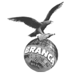 logo branca